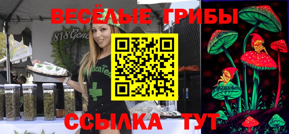 Галлюциногенные грибы Magic Shrooms Орск