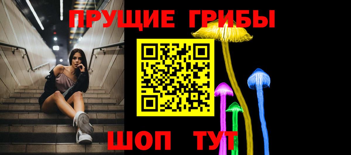 Псилоцибиновые грибы GOLDEN TEACHER  Псилоцибиновые грибы Magic Shrooms  Орск  Вход с VPN 